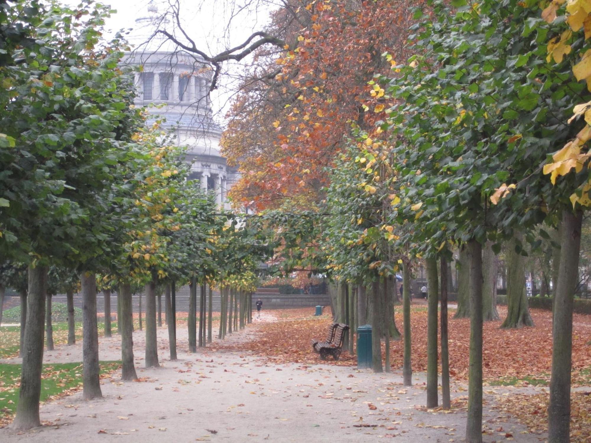 Etterbeek B&B A Cote Du Cinquantenaire المظهر الخارجي الصورة